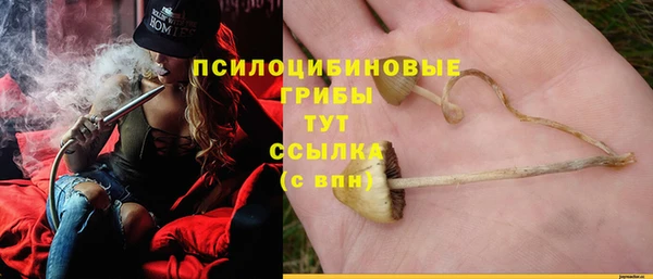 первитин Приозерск