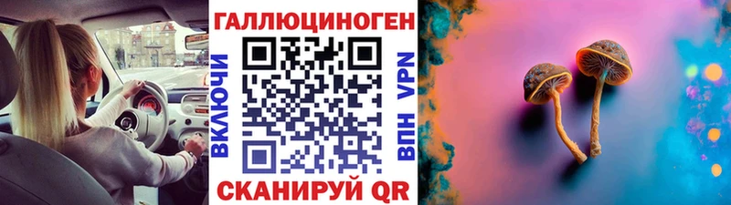 Псилоцибиновые грибы мицелий  купить закладку  Тында 