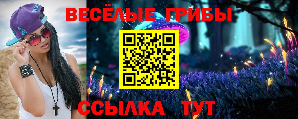 Тында  Псилоцибиновые грибы GOLDEN TEACHER  Вход с VPN  Галлюциногенные грибы MAGIC MUSHROOMS 